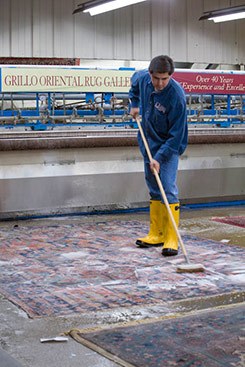 Cleaning Oriental Rug _MG_5387