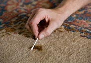 Free Oriental Rug Stain Removal Guide