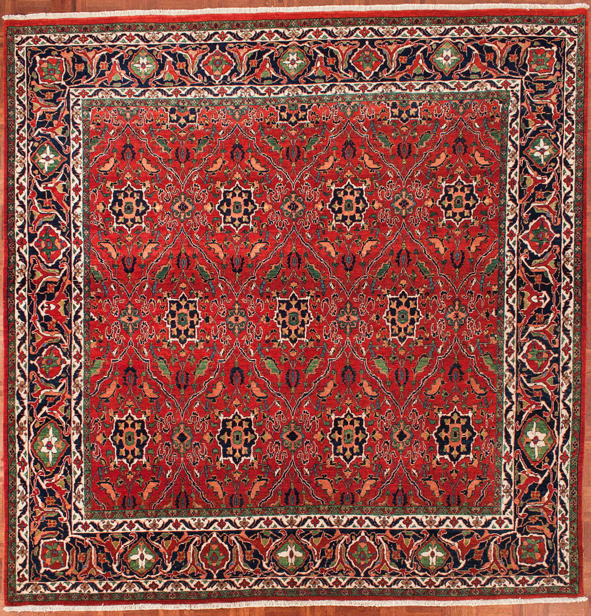 Bidjar 6907 Grillo Oriental Rug Outlet and Care