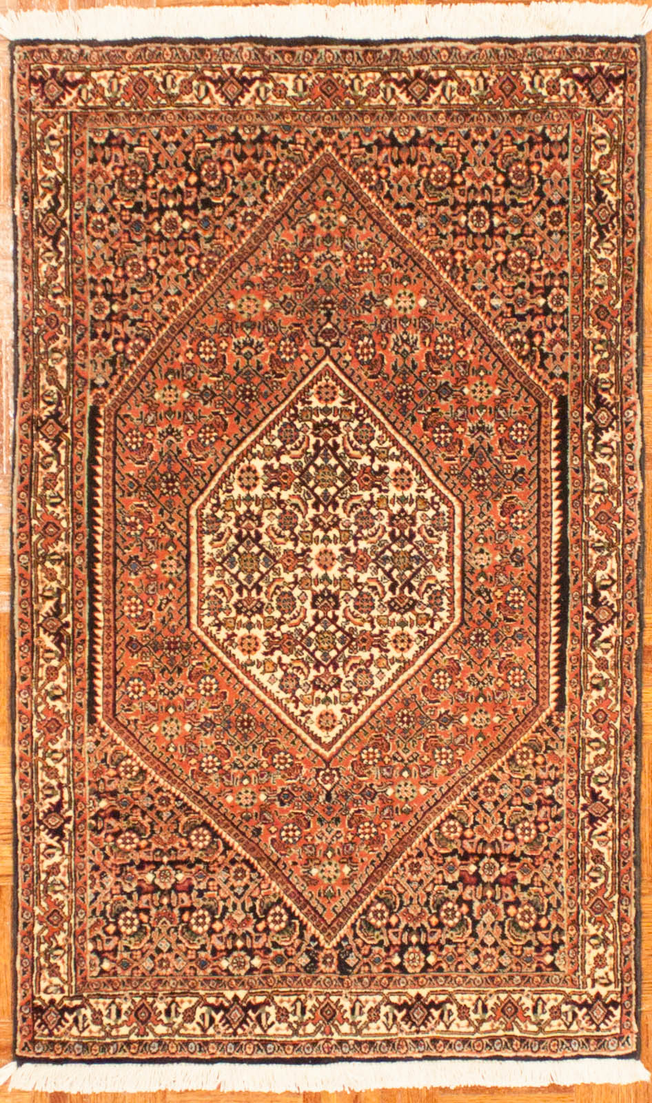 8470_Jumbo Grillo Oriental Rug Outlet and Care