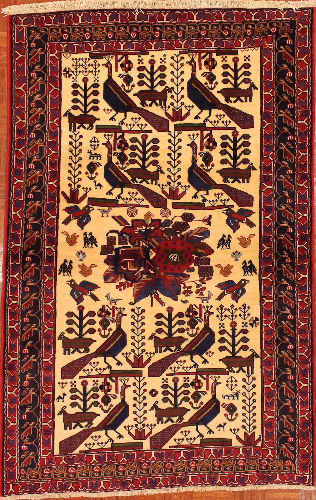 8594_Jumbo Grillo Oriental Rug Outlet and Care